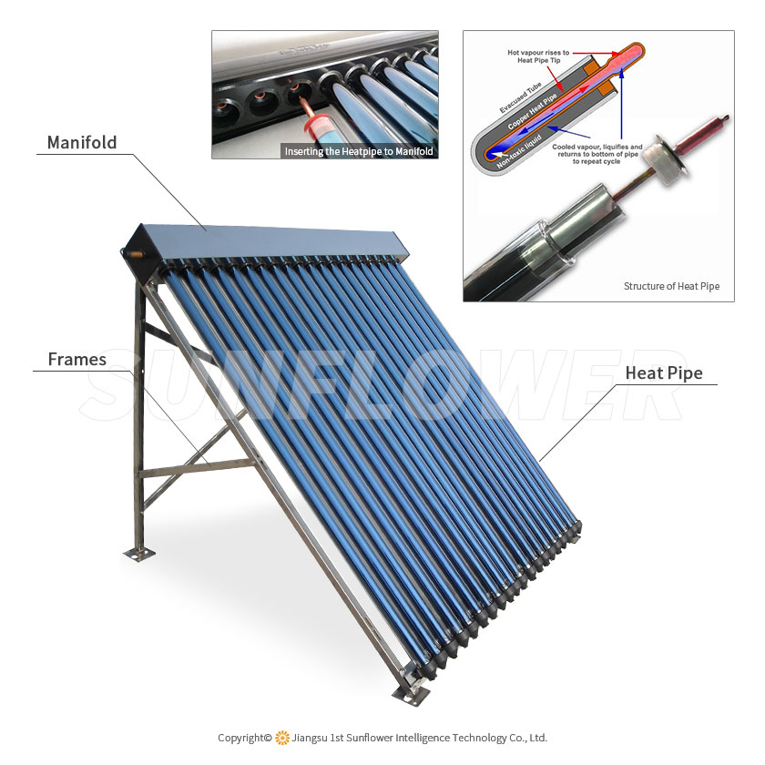 SFB 结构 图 官 网